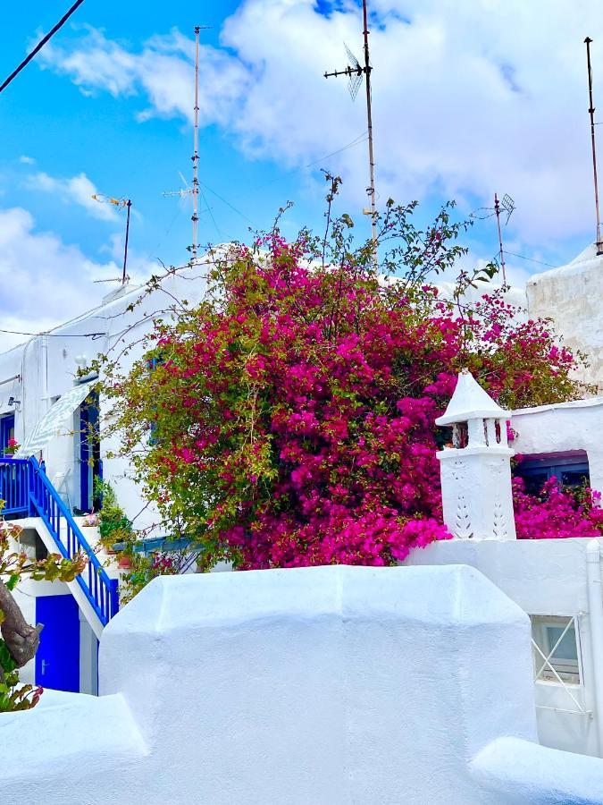Provis Rentals Suite Next To The Mills In Mykonos Town Luaran gambar